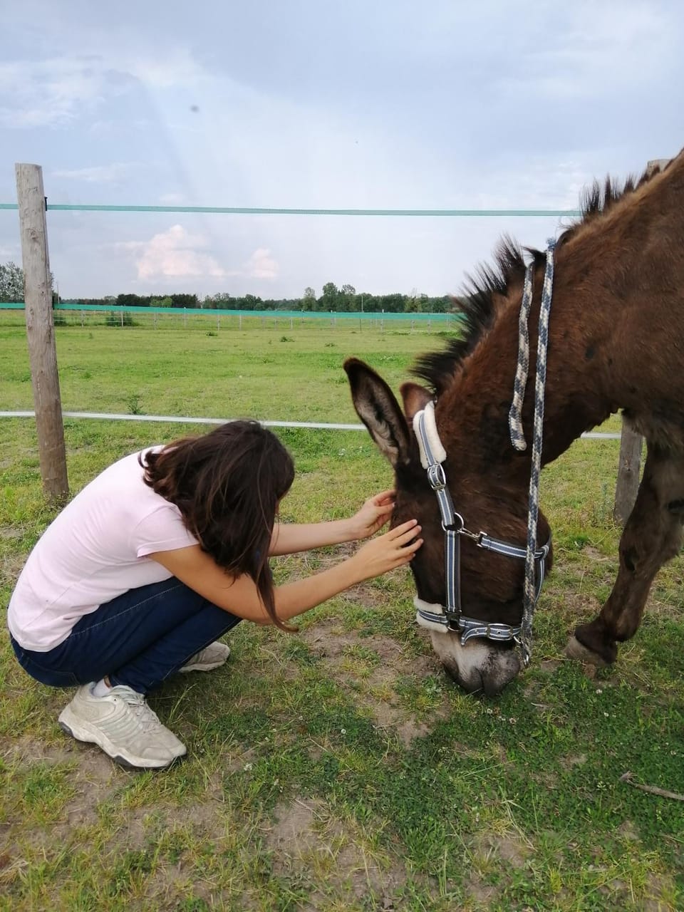 People, Animals, children