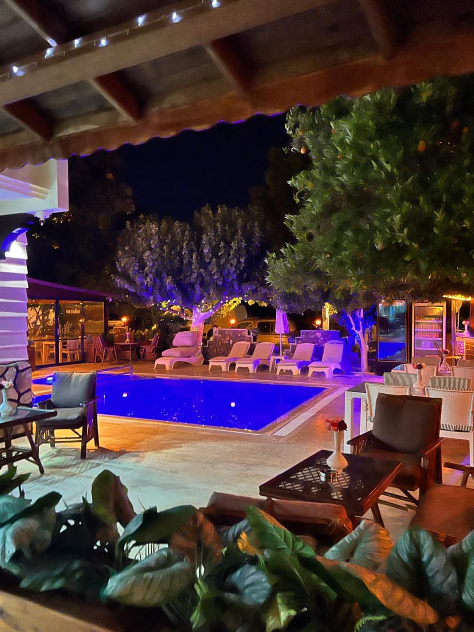 Garden, Swimming pool