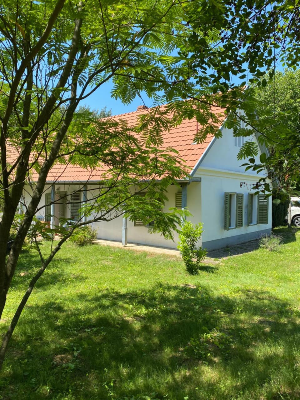 Garden view