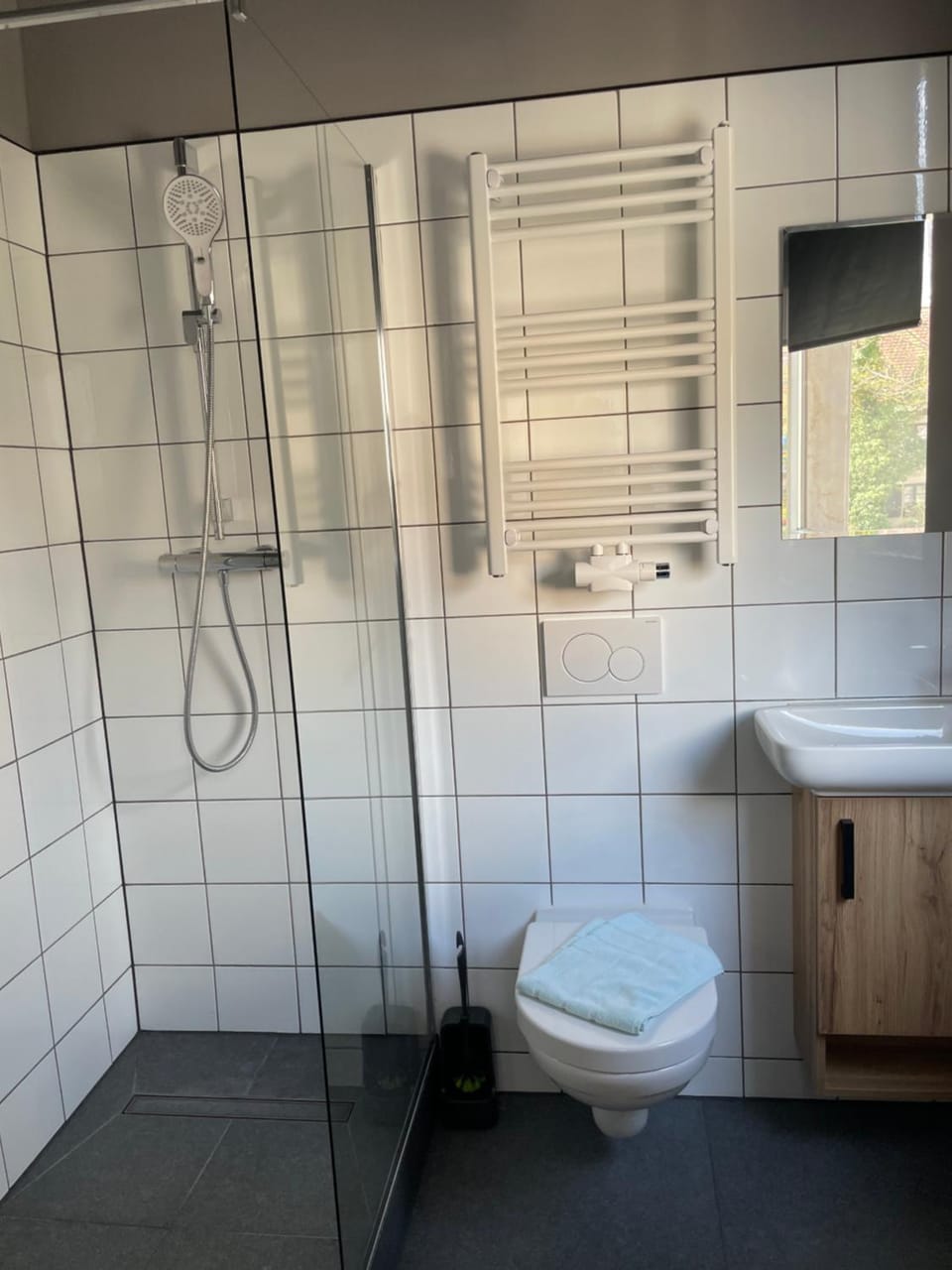 Shower, Toilet, Bathroom