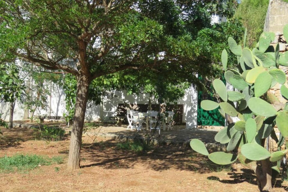 Casa Colonica House in Apulia