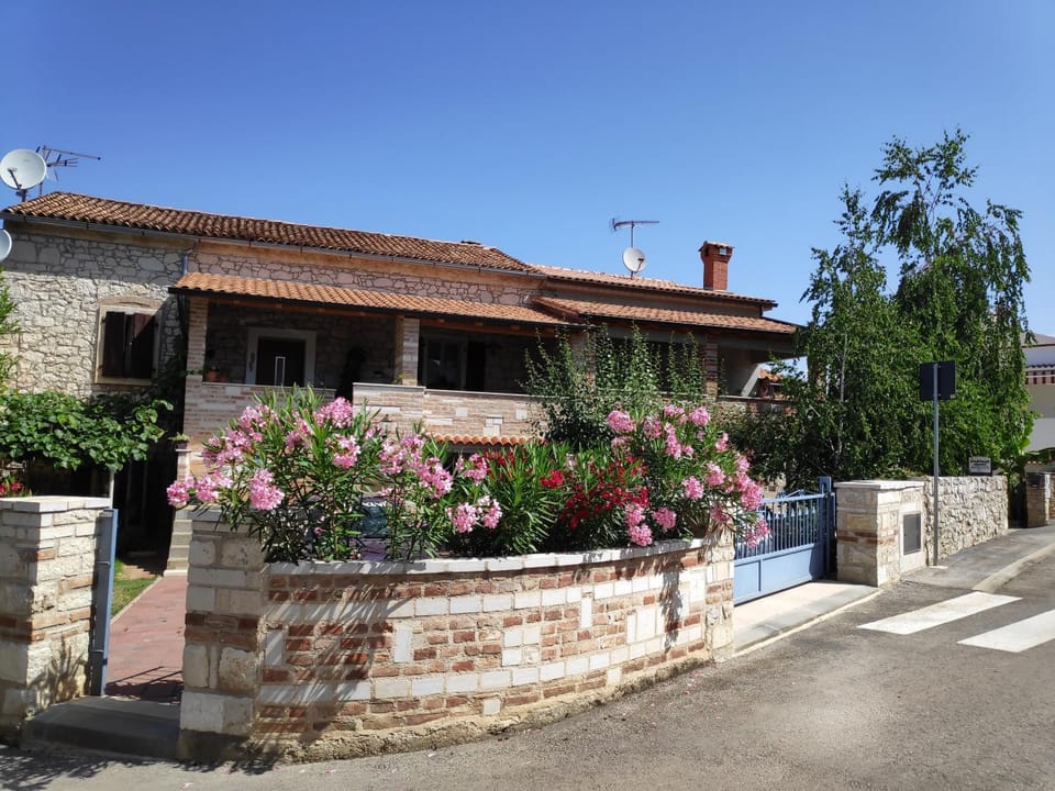 Property building, Day