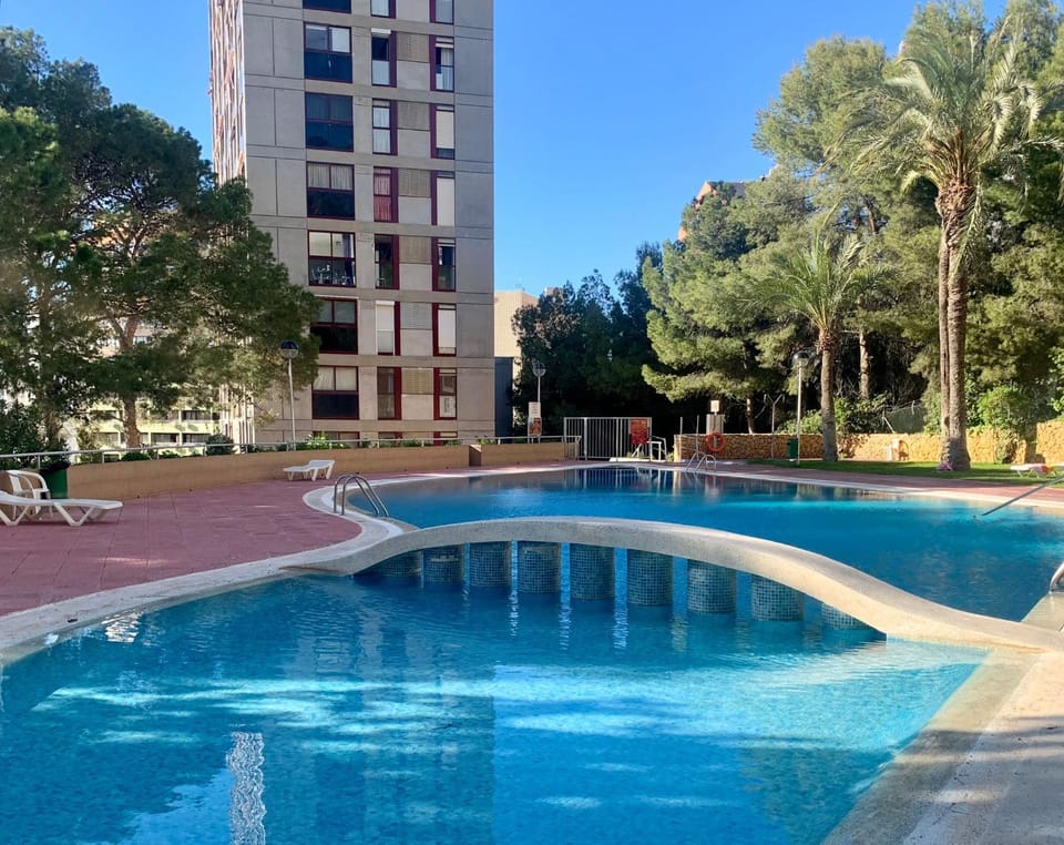 Garden, Swimming pool
