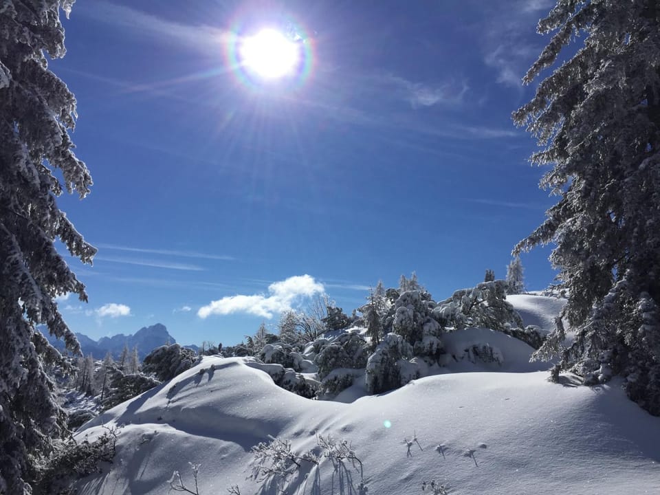 Skiing