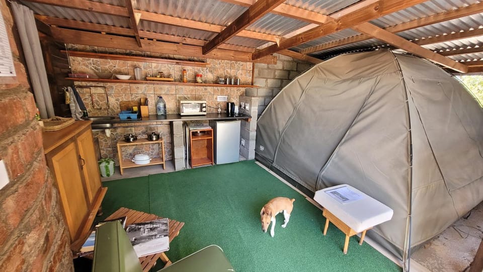 Bedroom, pet friendly