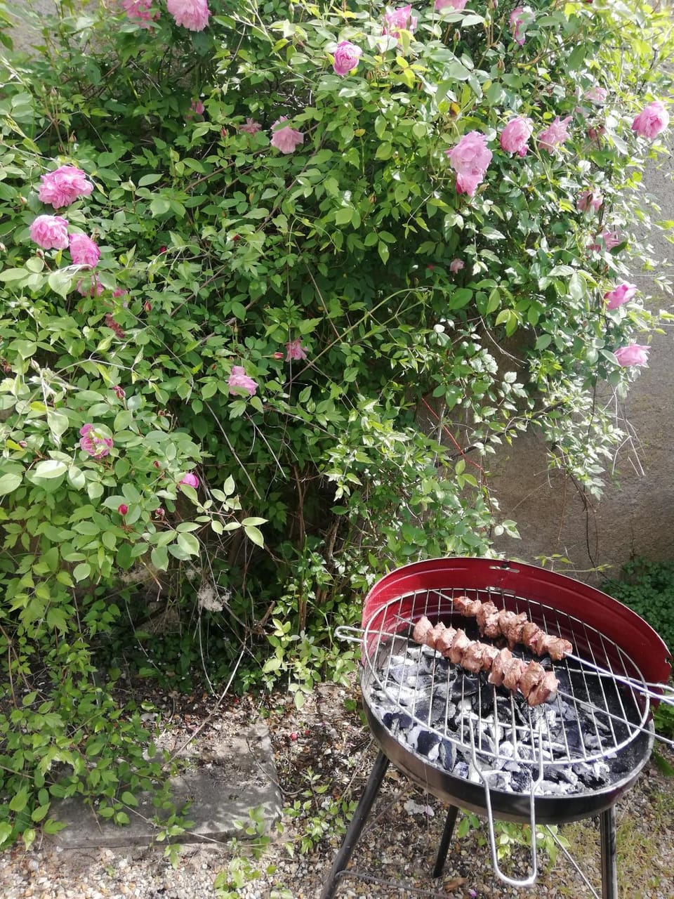 Summer, BBQ facilities