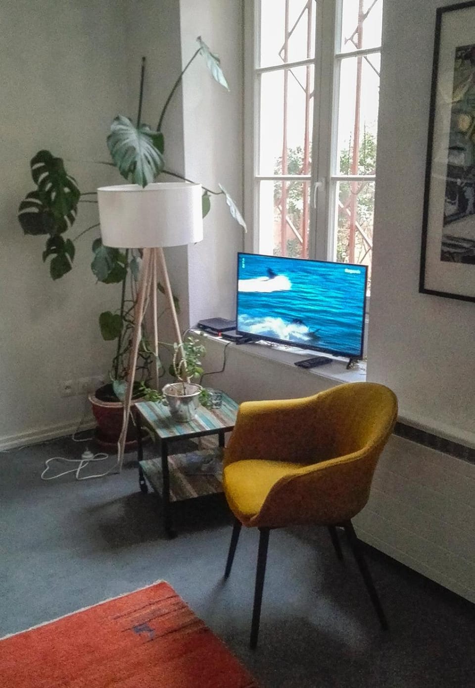 TV and multimedia