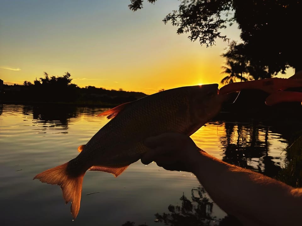 Fishing, Sunset