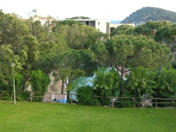 Patio, Garden, Garden view