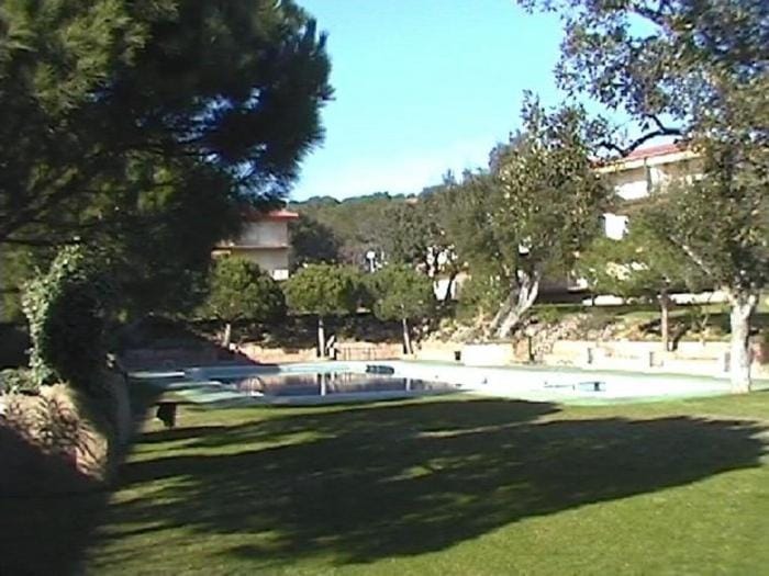 Patio, Garden, Garden view