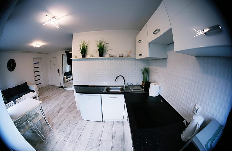 Kitchen or kitchenette, oven