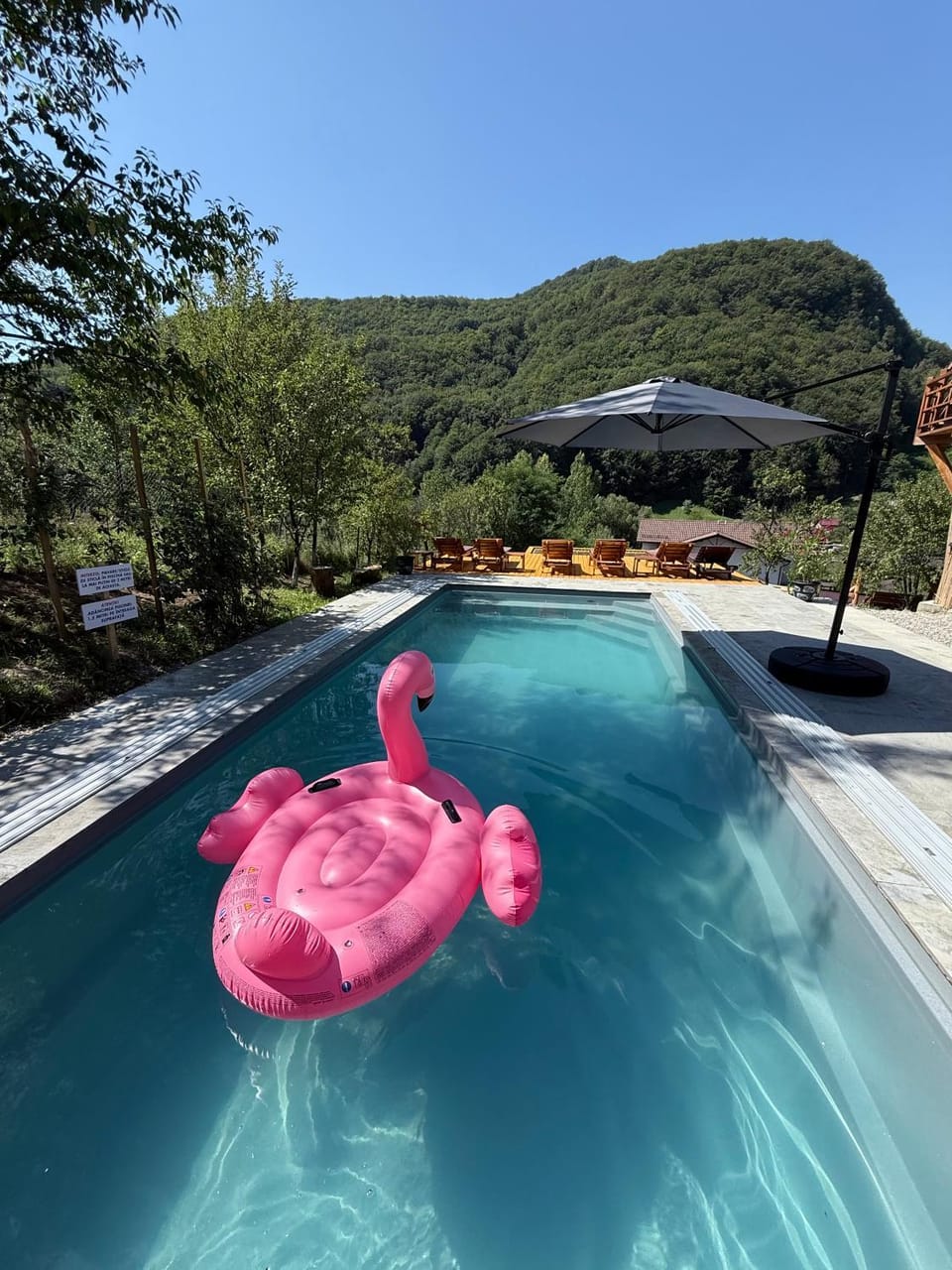 Pensiunea Berg Hill Bed and Breakfast in Romania
