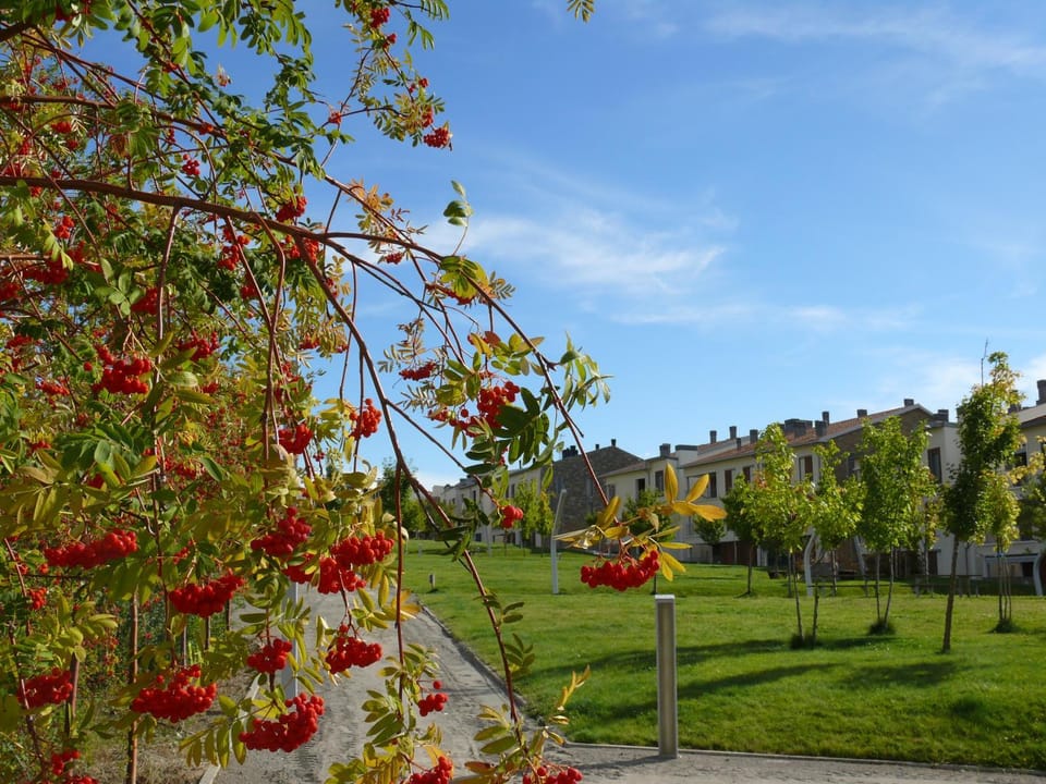 Garden, Area and facilities