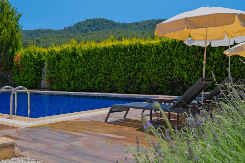 Natural landscape, Garden, Mountain view, Pool view, Swimming pool, sunbed