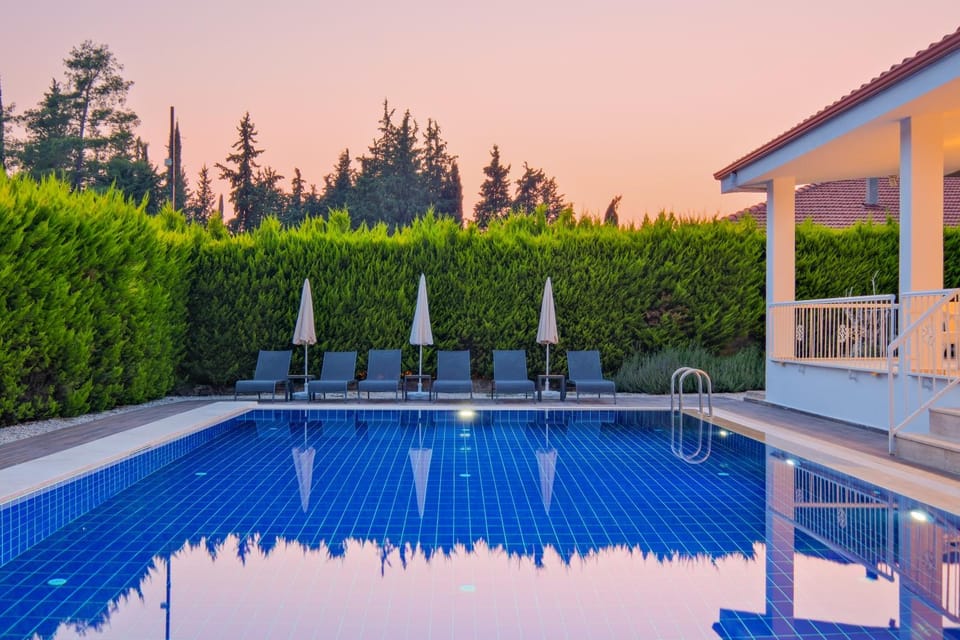 Natural landscape, Garden, Garden view, Pool view, Swimming pool, sunbed