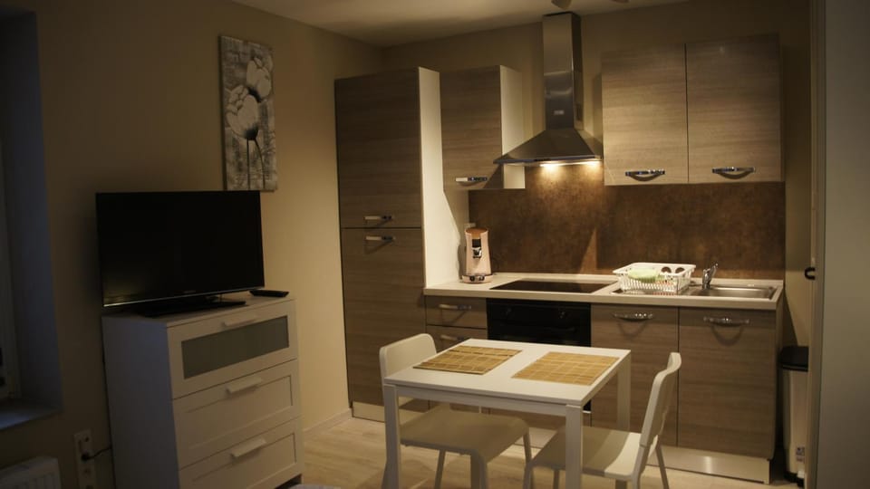 TV and multimedia, Kitchen or kitchenette, Living room, Dining area, minibar, pet friendly, stove