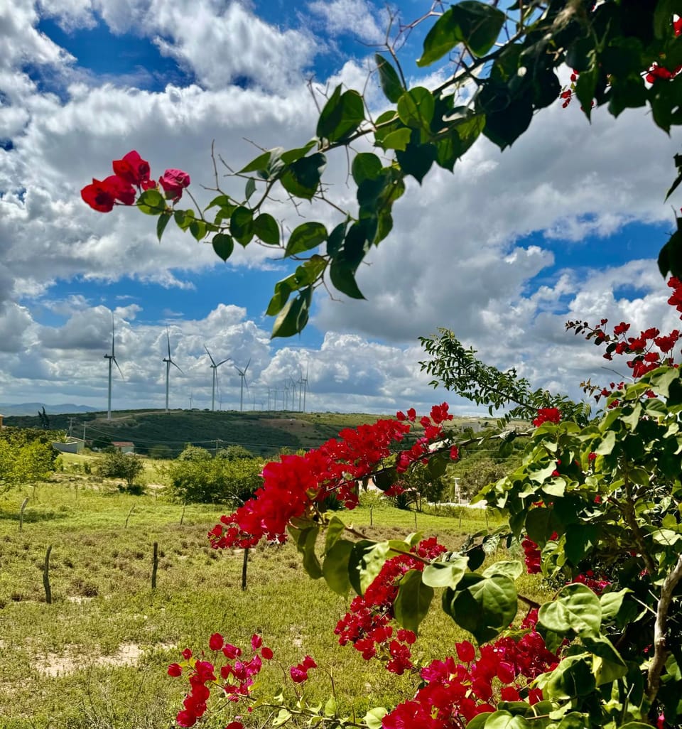 Chalés Sossego da Serra Nature lodge in State of Rio Grande do Norte, Brazil