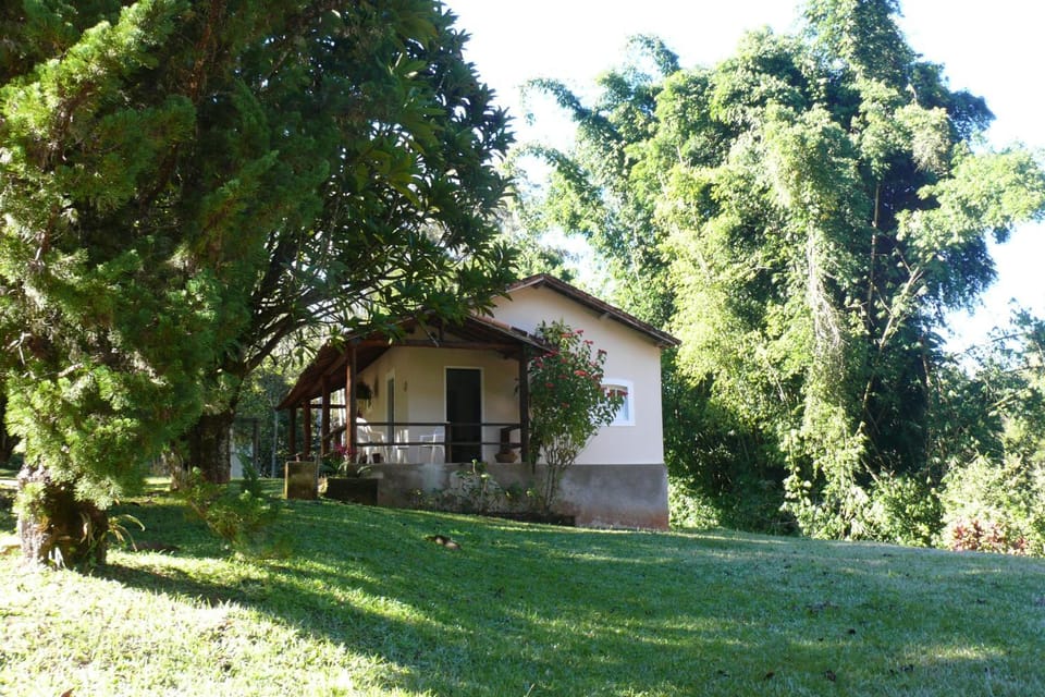 View (from property/room), Garden view