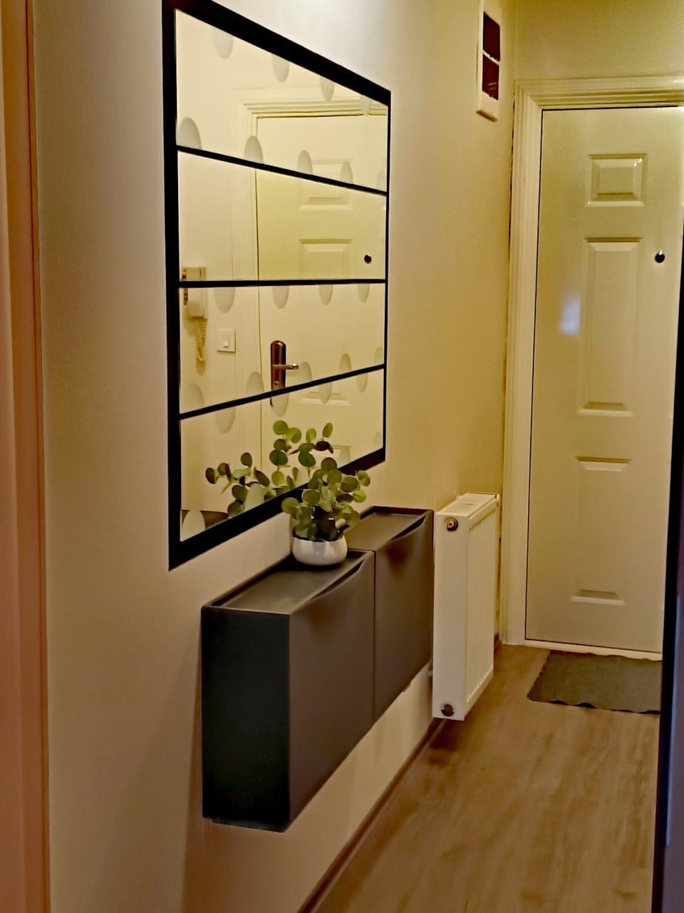 Studio City day Apartment in Serbia