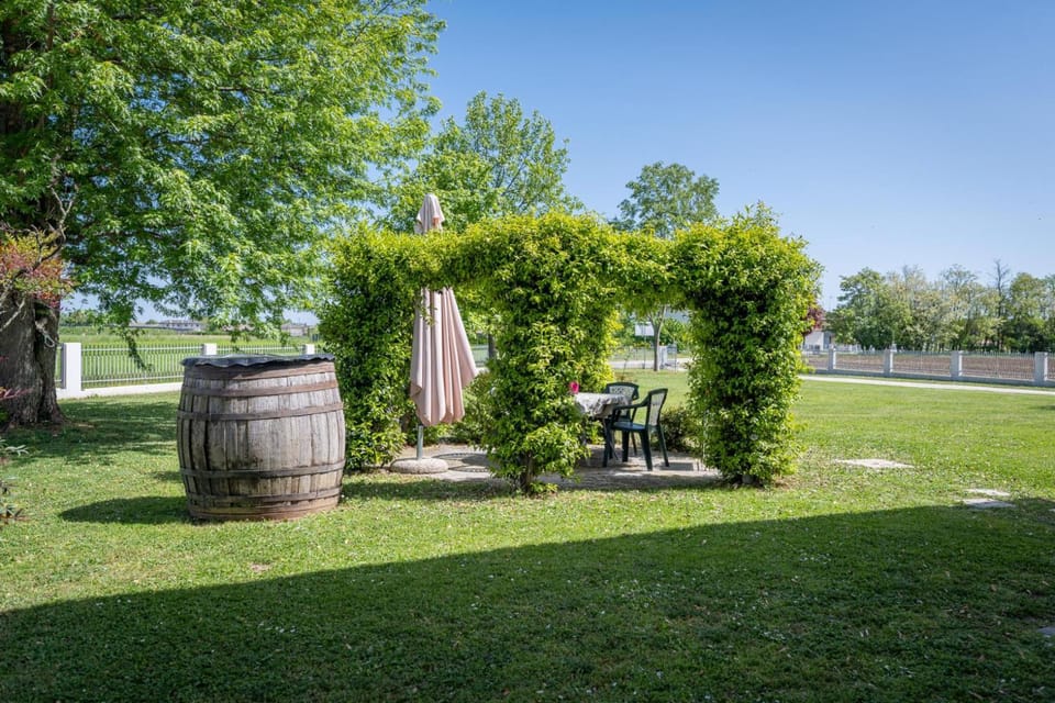 Day, Garden, Garden, Garden view