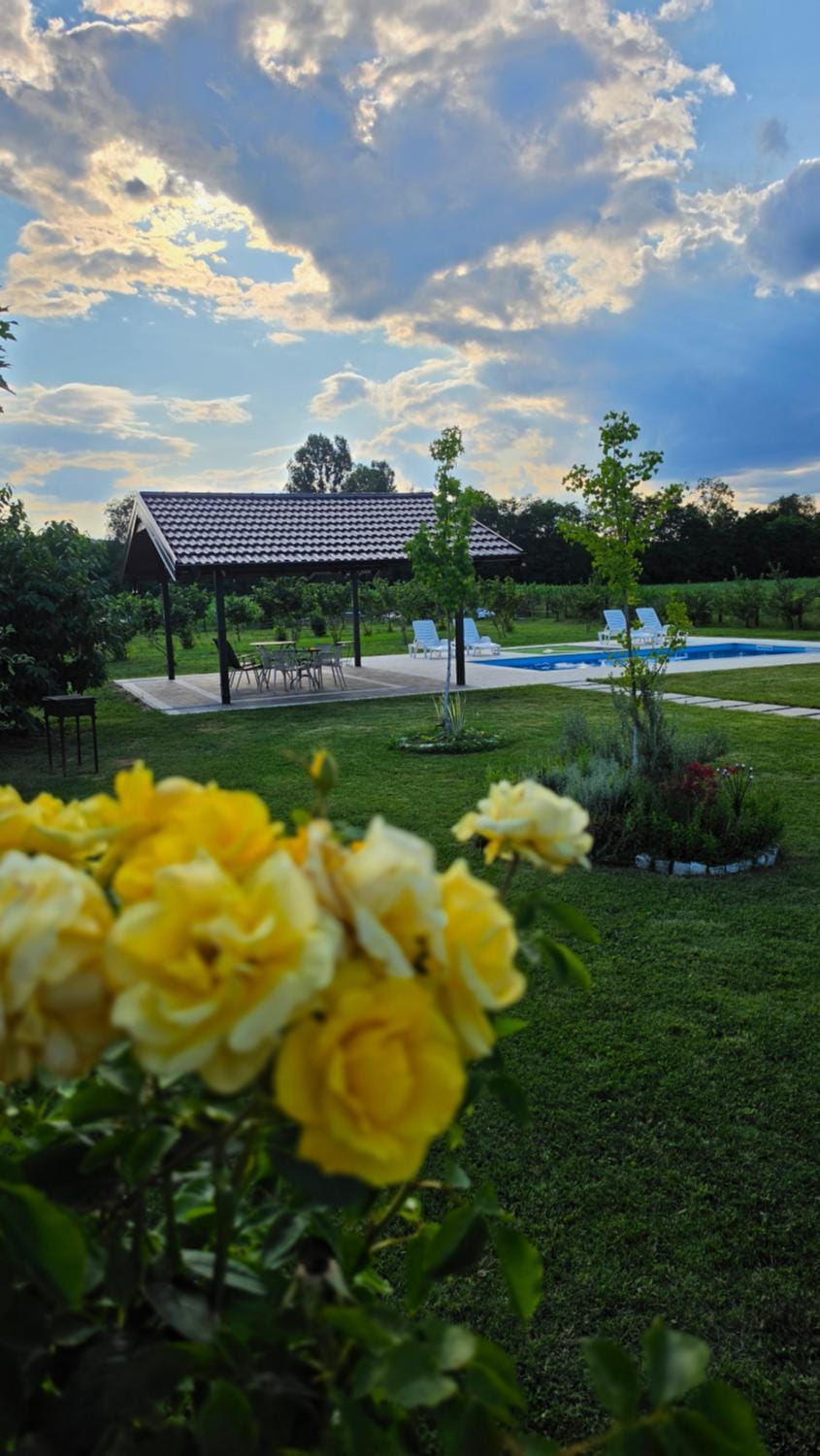 Summer, Game Room, Garden, Garden view, Area and facilities, Area and facilities, Swimming pool