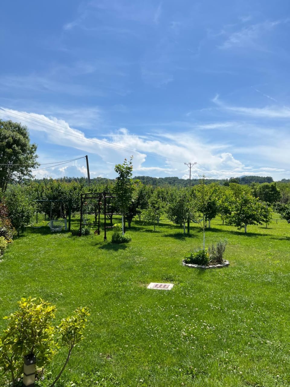 Garden view