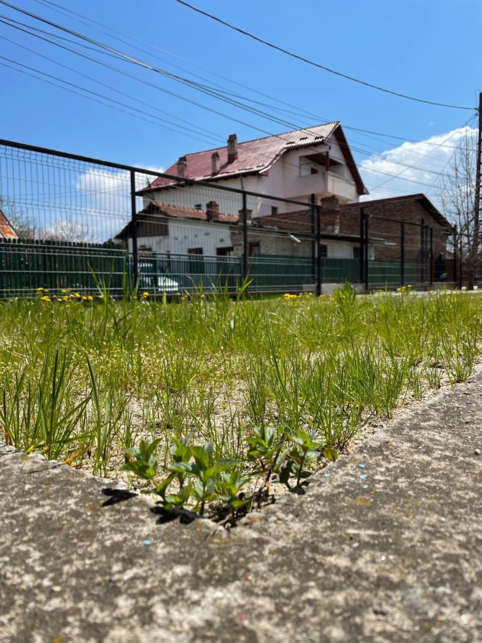 Garden, Garden view