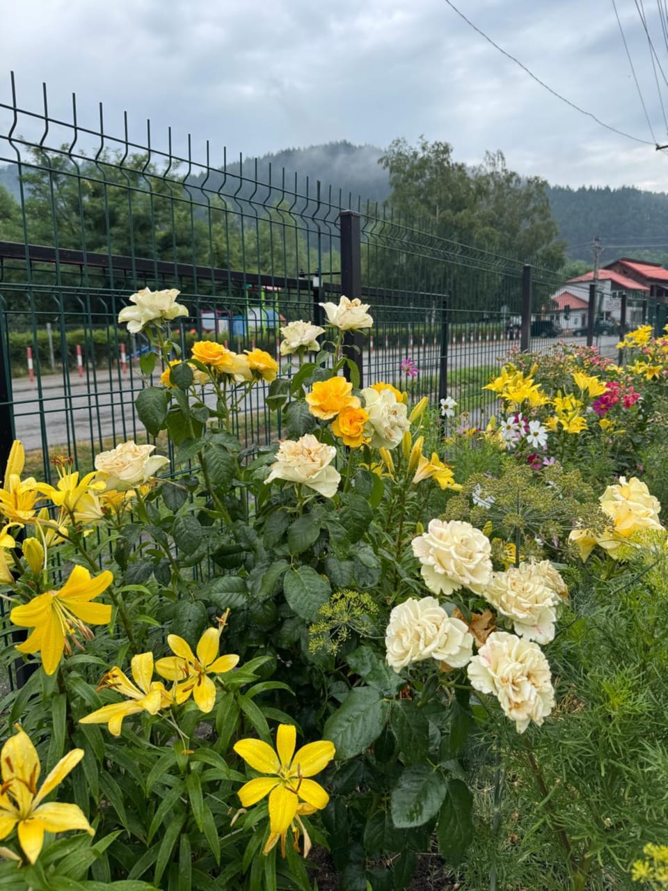 Magic Rooms Bed and Breakfast in Prahova, Romania