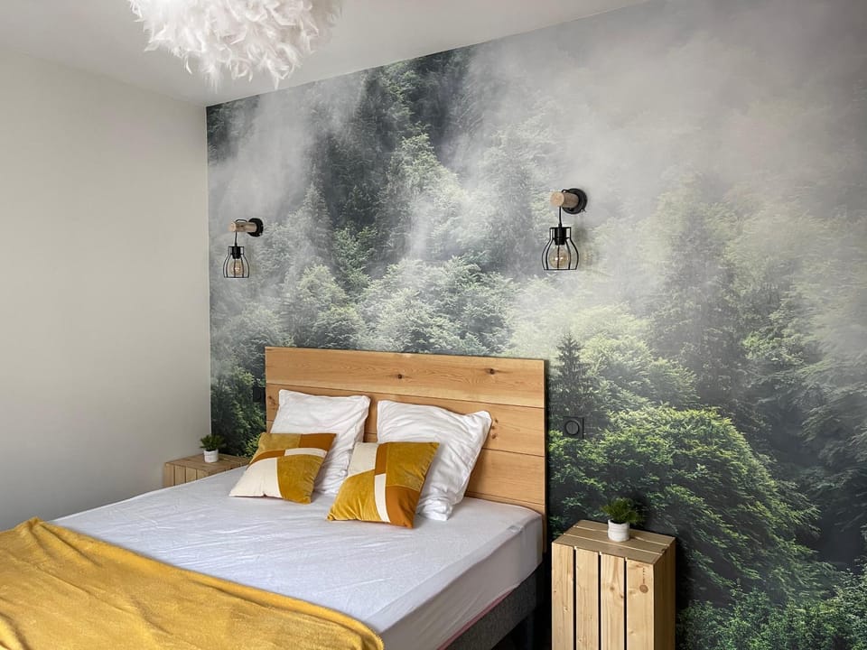 Appartement tout confort haut de gamme en plein centre ville Apartment in Gérardmer