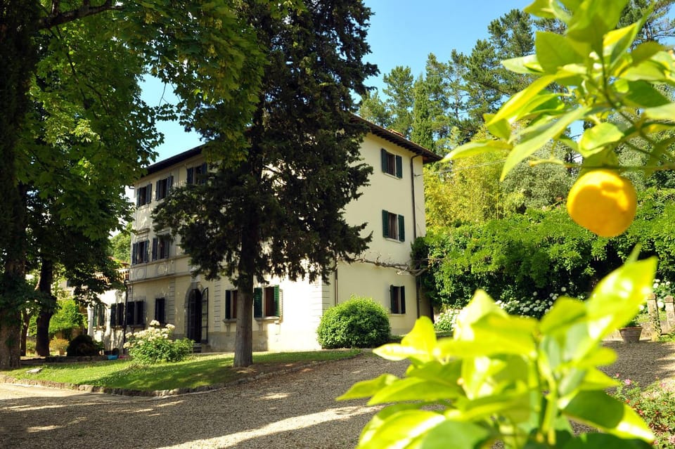Property building, Garden, Garden