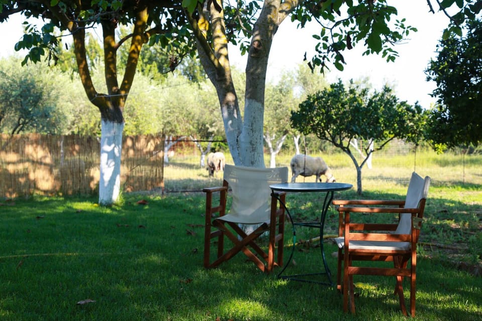 Garden, Time of day