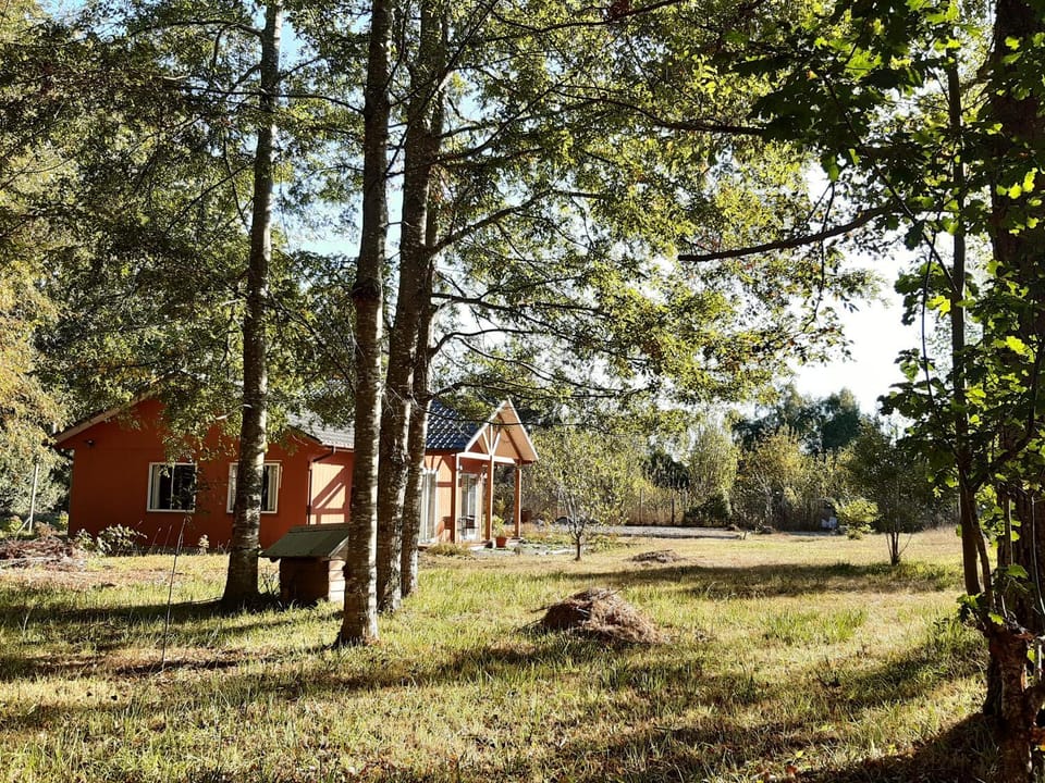 Cabañas Las Araucarias Apartment in Los Ríos, Chile