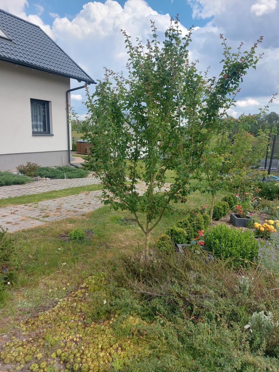 Nowa Śluza House in Pomeranian Voivodeship