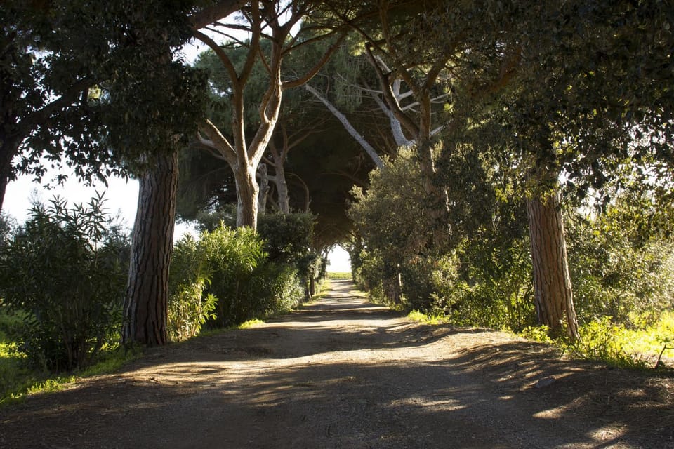 Facade/entrance, Natural landscape