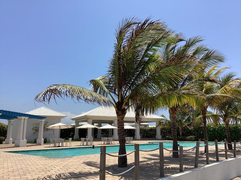 Day, Pool view, Swimming pool