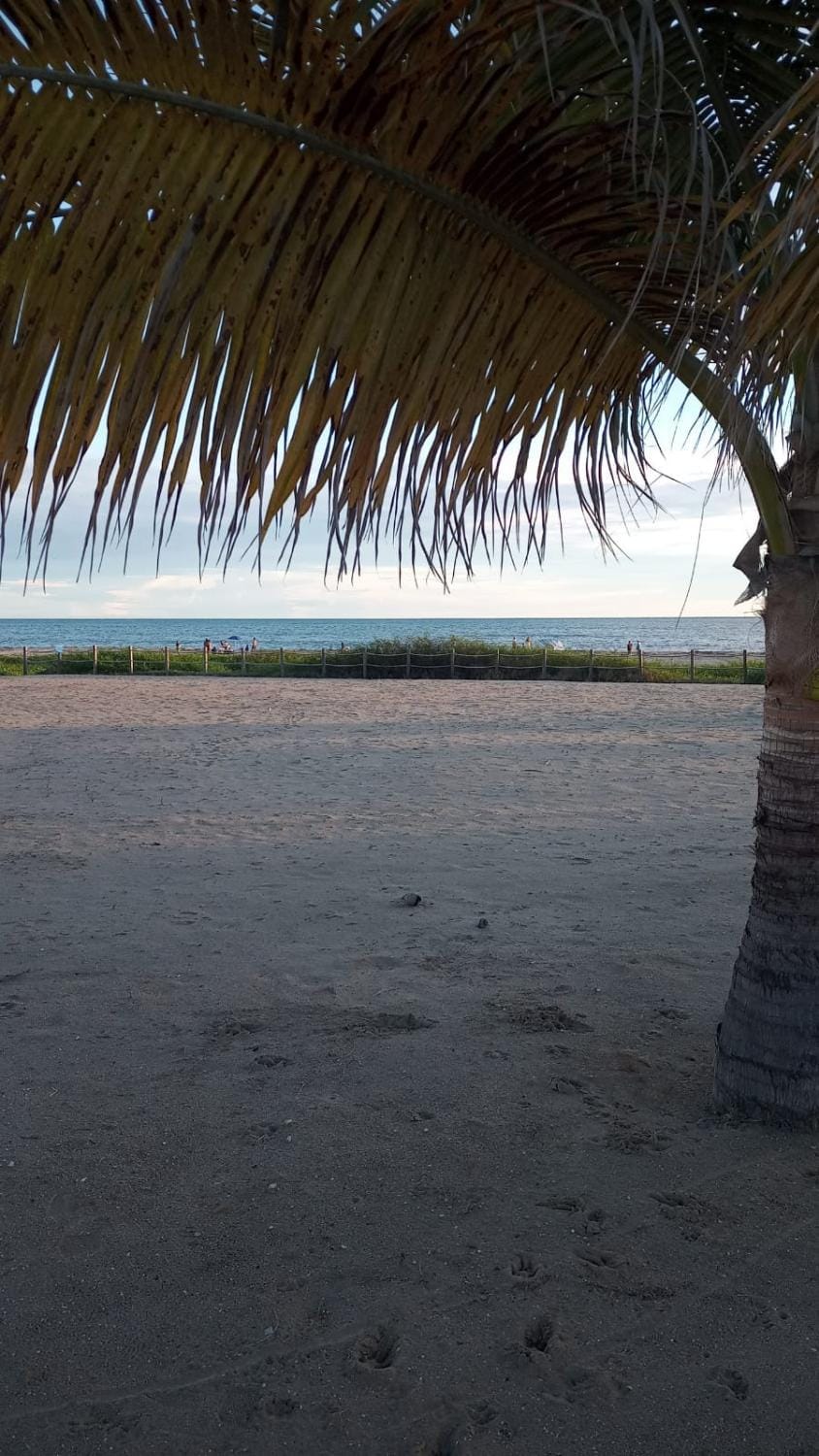 Day, Natural landscape, Beach, Sea view