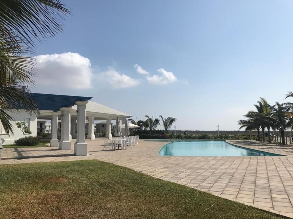 Day, Pool view, Swimming pool, sunbed