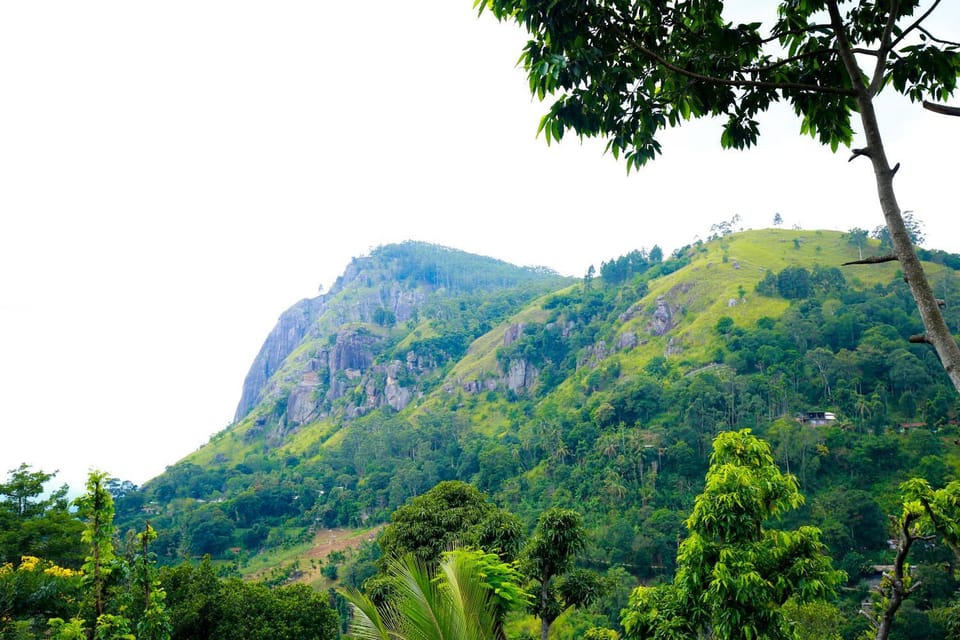 Mountain view