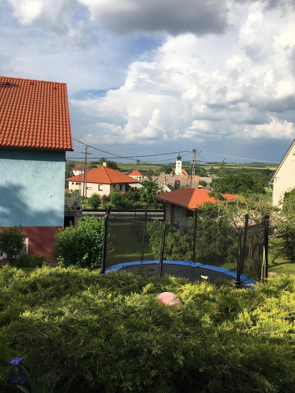 Natural landscape, Garden, Garden view