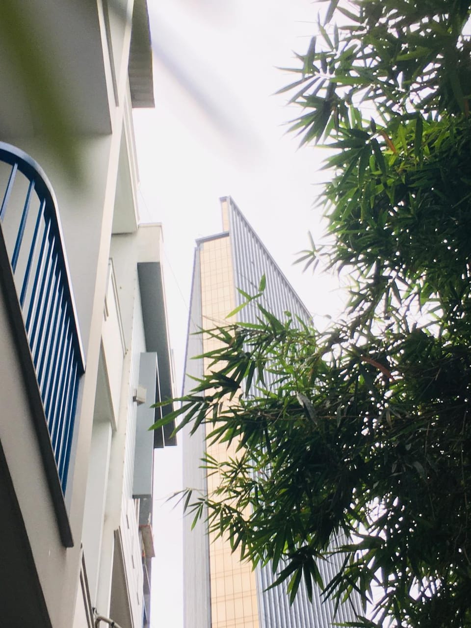 Ivy house Bed and Breakfast in Laos