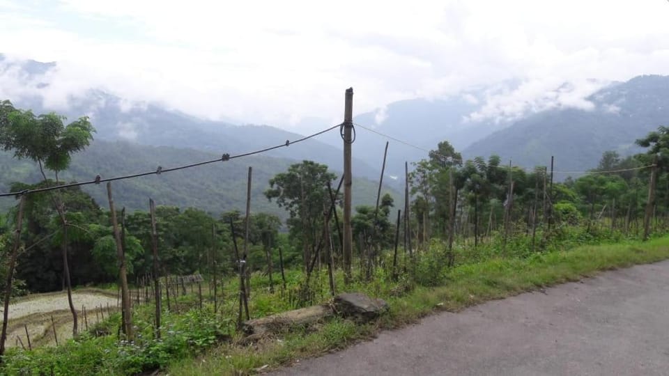 Mountain view