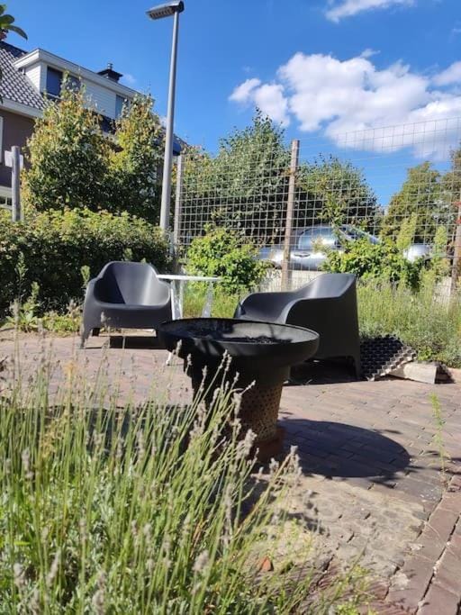 Garden, Seating area, Garden view
