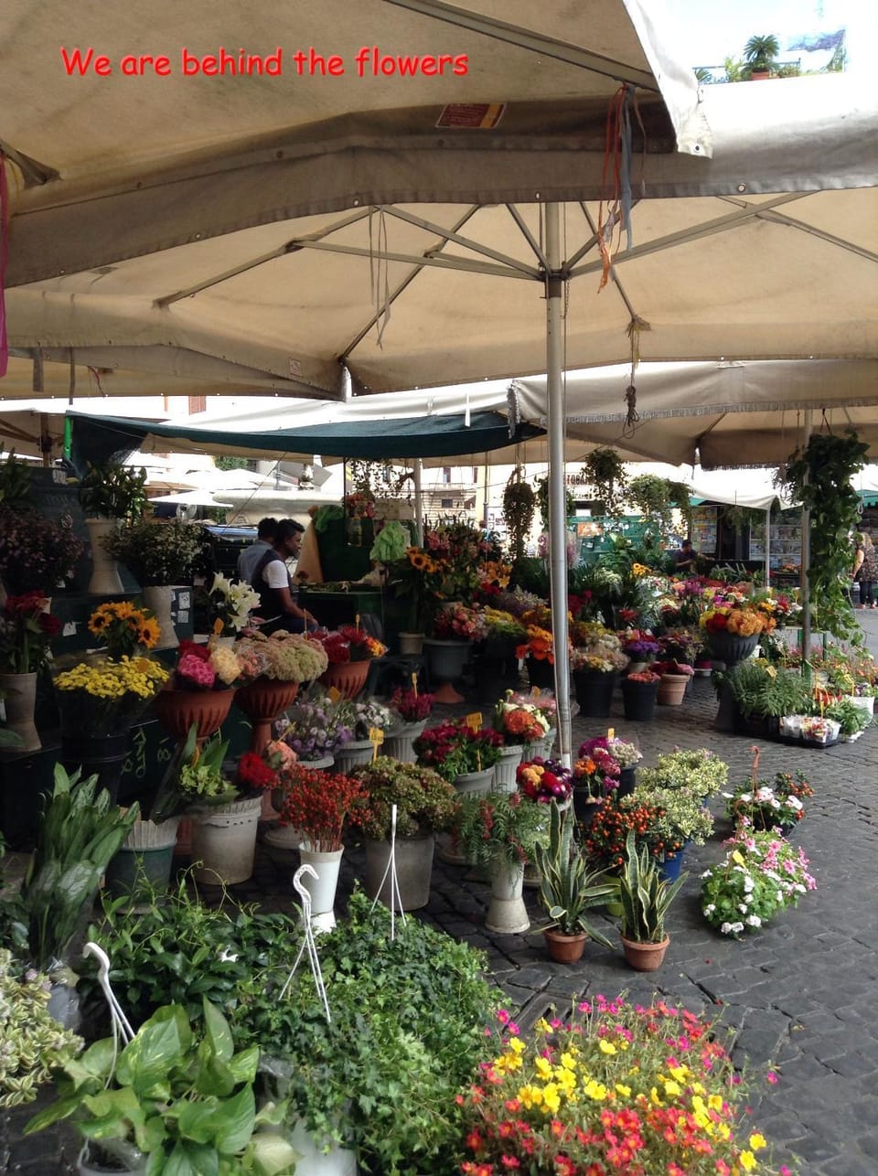 On-site shops