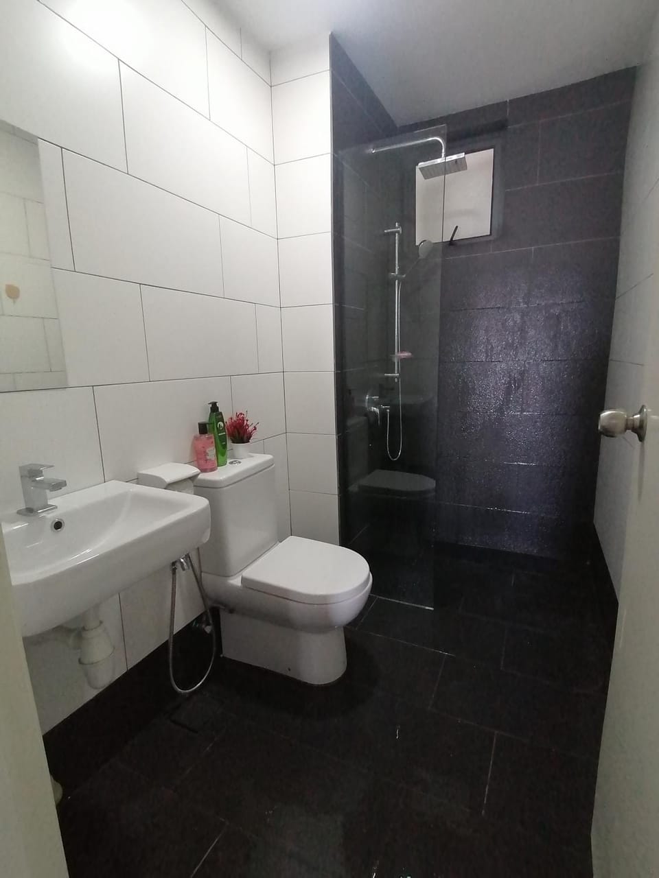 Shower, Toilet, Bathroom, bidet