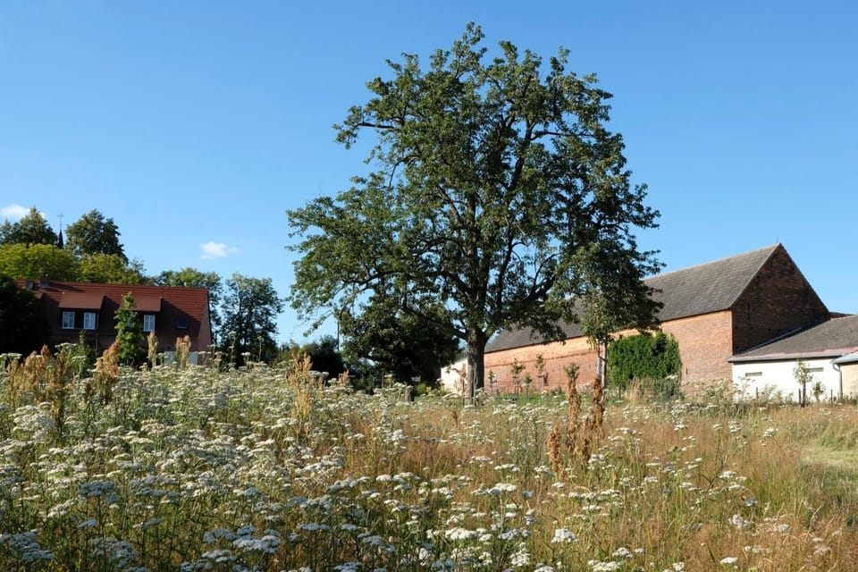 Property building, Neighbourhood, Natural landscape, Garden