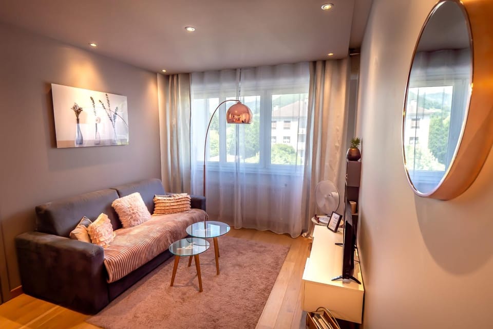 La Plage dAlbigny - Apartment classified stars 100 m from the lake Apartment in Annecy