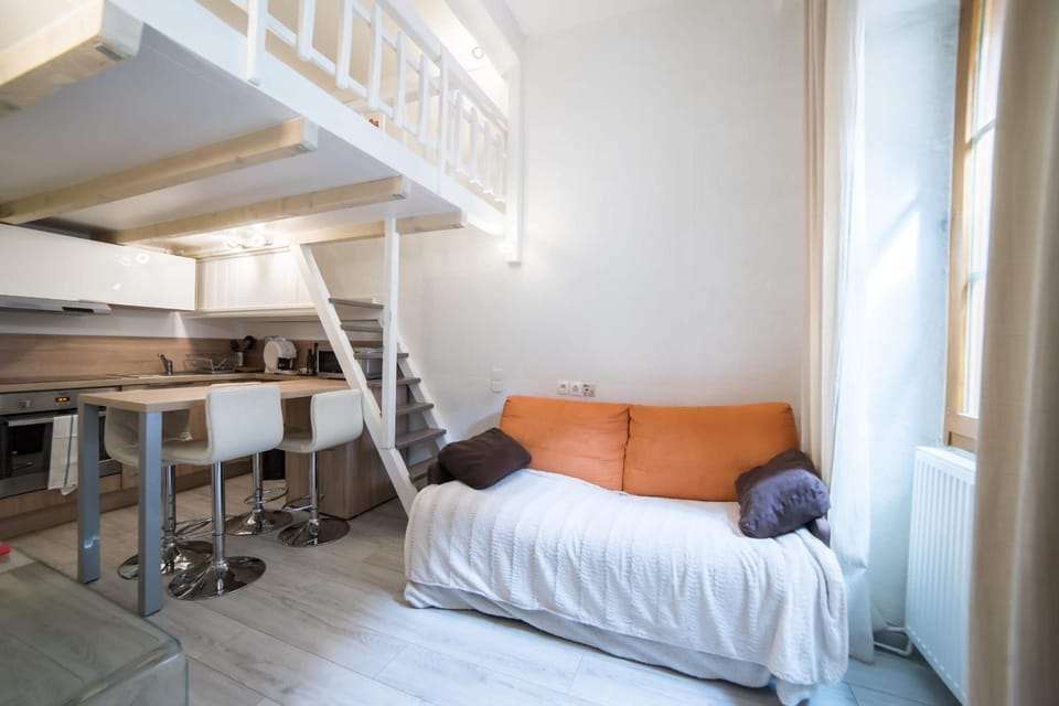 Le Semnoz - studio with mezzanine in the heart of the old town Apartment in Annecy