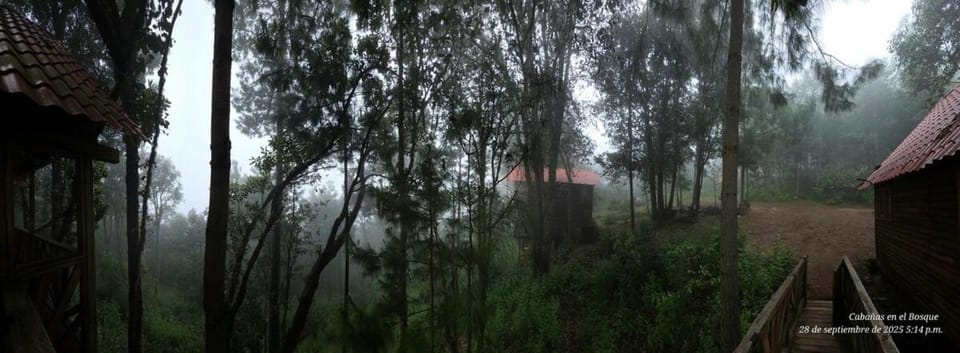 Natural landscape