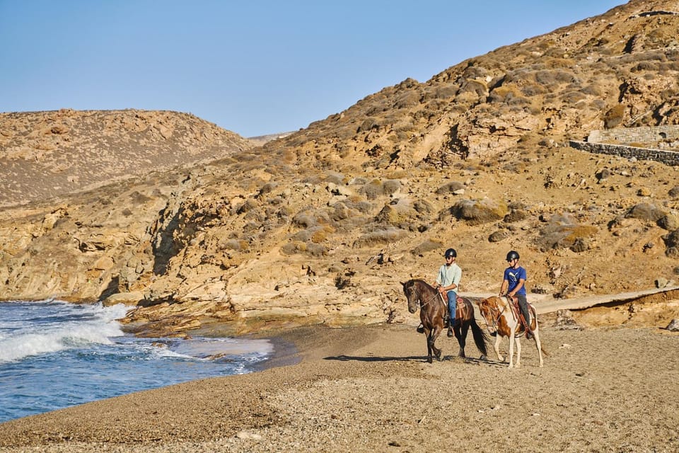 Beach, Animals, Sea view