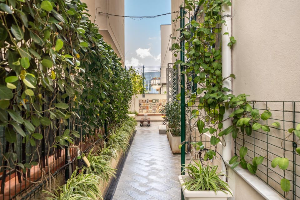 Patio, Inner courtyard view